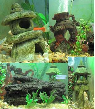 Tank Decorations