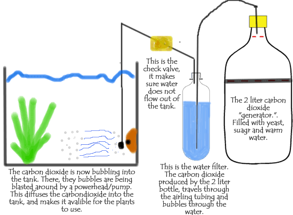 DIY CO2 Setup