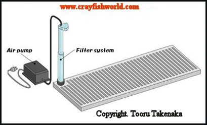 undergravel filter with canister filter